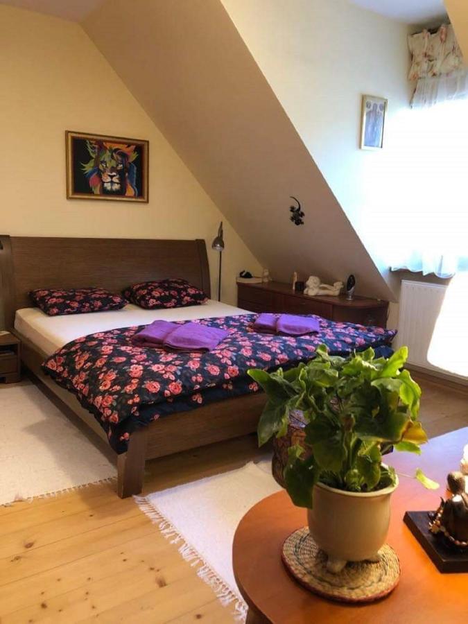 Bed and Breakfast Willa Nad Popradem à Piwniczna-Zdroj Extérieur photo
