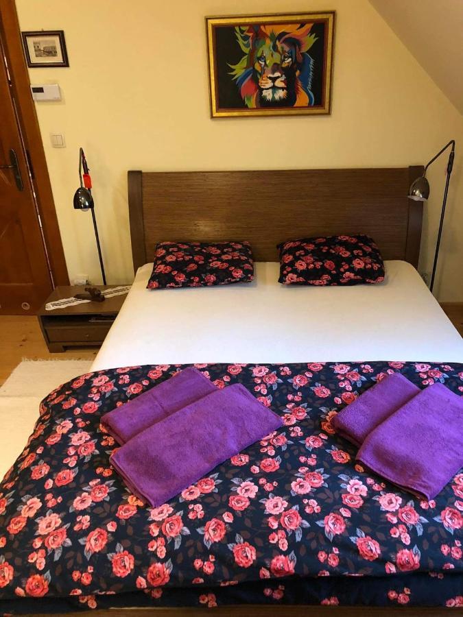 Bed and Breakfast Willa Nad Popradem à Piwniczna-Zdroj Extérieur photo