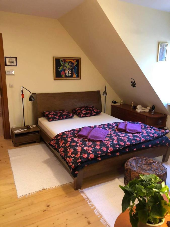 Bed and Breakfast Willa Nad Popradem à Piwniczna-Zdroj Extérieur photo
