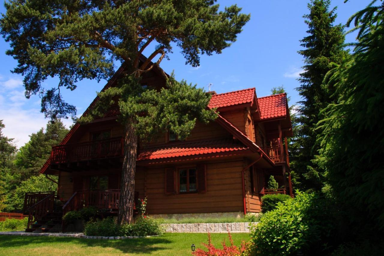 Bed and Breakfast Willa Nad Popradem à Piwniczna-Zdroj Extérieur photo