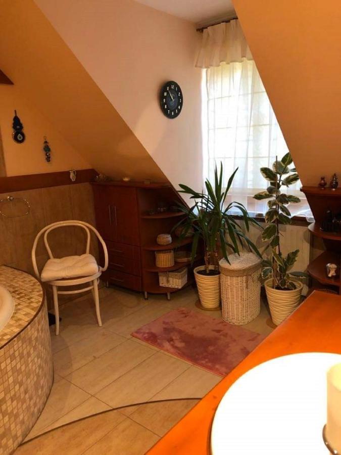 Bed and Breakfast Willa Nad Popradem à Piwniczna-Zdroj Extérieur photo